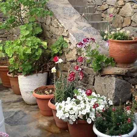 Dominique & Carlos Place *