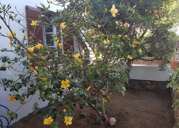 Dominique & Carlos Place *