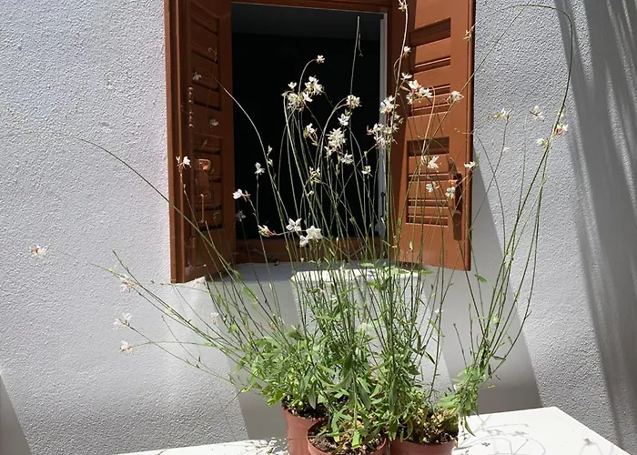 Διαμέρισμα Dominique & Carlos Place Mykonos Town