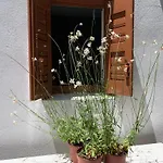 Apartamento Dominique & Carlos Place Mykonos Town