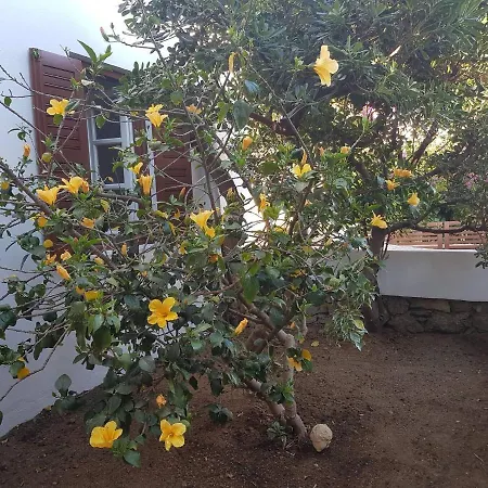 Dominique & Carlos Place *