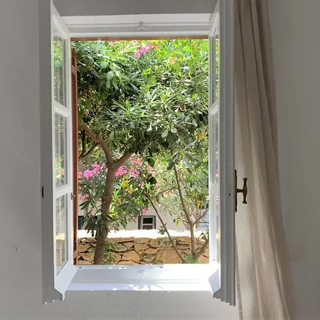 Dominique & Carlos Place Mykonos Town