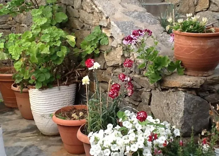 Dominique & Carlos Place *