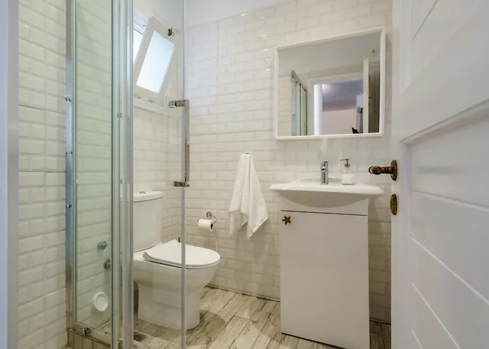 Dominique & Carlos Place 公寓 Mykonos Town